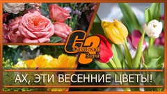 Ах, эти весенние цветы!