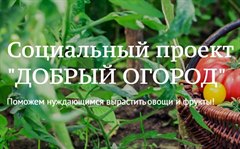 Социальный проект «Добрый огород»