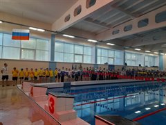 Соревнования в «Дельфине»