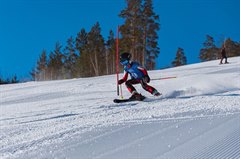 Соревнования на Пихтовой горе