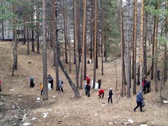 Общегородской субботник переносится на 5 мая 2023 года