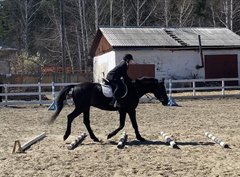 Солнечная весна