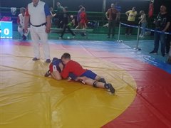 Традиционный турнир памяти мастера спорта по самбо Мадеста Сапожникова!