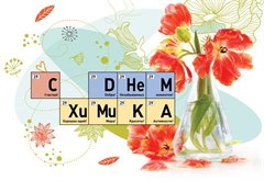 Поздравление мэра города Олега Боровского с Днём химика!