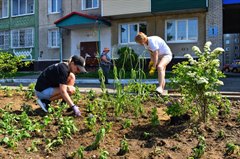 Дарим городу краски