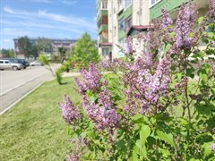 Молодым семьям – доступное жилье!