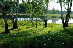 Предложения по благоустройству Пионерского озера