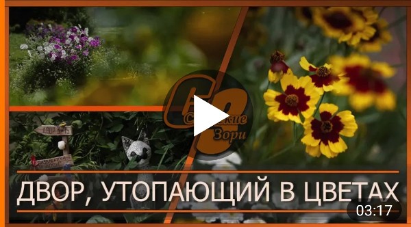 ДВОР, УТОПАЮЩИЙ В ЦВЕТАХ