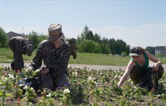 За чистый город!