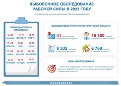 Выборочное обследование рабочей силы