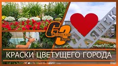 Краски цветущего города