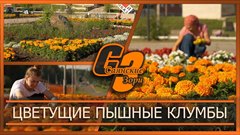 Цветущие пышные клумбы