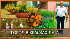 Город в красках лета