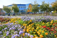 Детская школа искусств города Саянска объявляет набор детей на 2023-2024 учебный год.