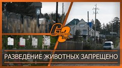Разведение животных запрещено