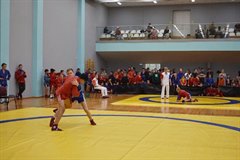 Встретились богатыри