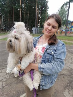 Акция по бесплатной регистрации, чипированию и стерилизации домашних животных