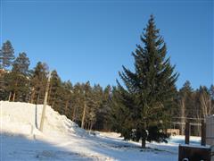 Праздник в Снежном городке