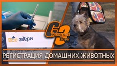 Регистрация домашних животных