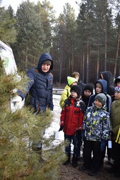 Открыта «охота на лис»