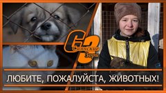 Любите, пожалуйста, животных