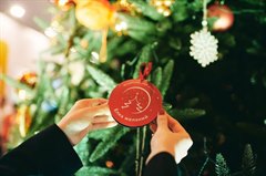 Всероссийская акция «Ёлка желаний» в 2023-2024 годах