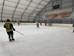 Региональный Чемпионат по хоккею среди любительских команд