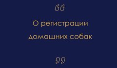 Дополнительные требования к содержанию домашних животных