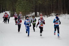 Зимний дуатлон