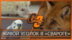 Живой уголок в «Свароге»
