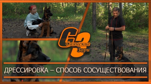 Дрессировка – способ сосуществования
