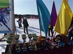 На старт "Лыжни России - 2015" вышли более 300 саянцев