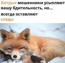 КиберГайд. Как перехитрить мошенников