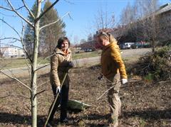 30 апреля –  общегородской субботник