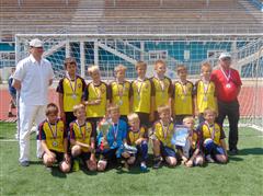 Серебряные саянцы