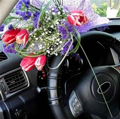 Поздравление мэра с днем работников автомобильного транспорта