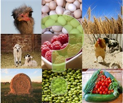 Отзовитесь, знатоки!