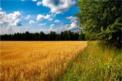 Возьмите в руки фотоаппарат