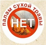 Особый противопожарный режим: сжигание мусора и сухой растительности запрещено!
