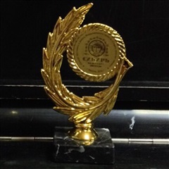 Саянск результативно выступил в международном проекте "Сибирь зажигает звёзды!"