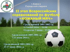 «Кожаный мяч» в Саянске