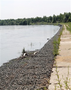 Модернизация в разгаре