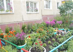 Продолжается приём заявок для участия в  смотре-конкурсе на лучшее цветочное оформление территорий