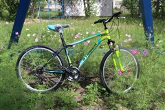 Молодежь Саянска привлекает жителей к участию в экологических акциях