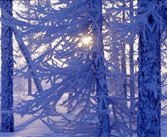 Предупреждение о погоде