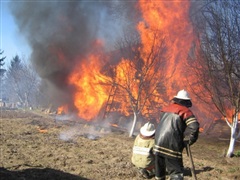 Горят леса и дачи
