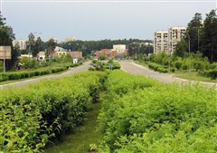 Поздравление мэра