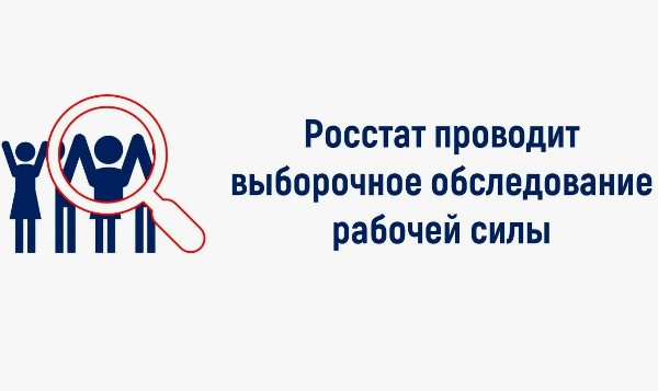 Выборочное обследование рабочей силы пройдет в Иркутской области в 2025 году