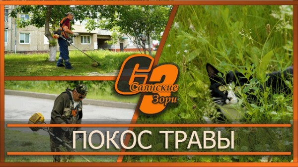 Покос травы