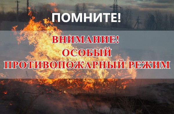 Продлено действие особого противопожарного режима до 8:00 часов 16 июня 2025 года